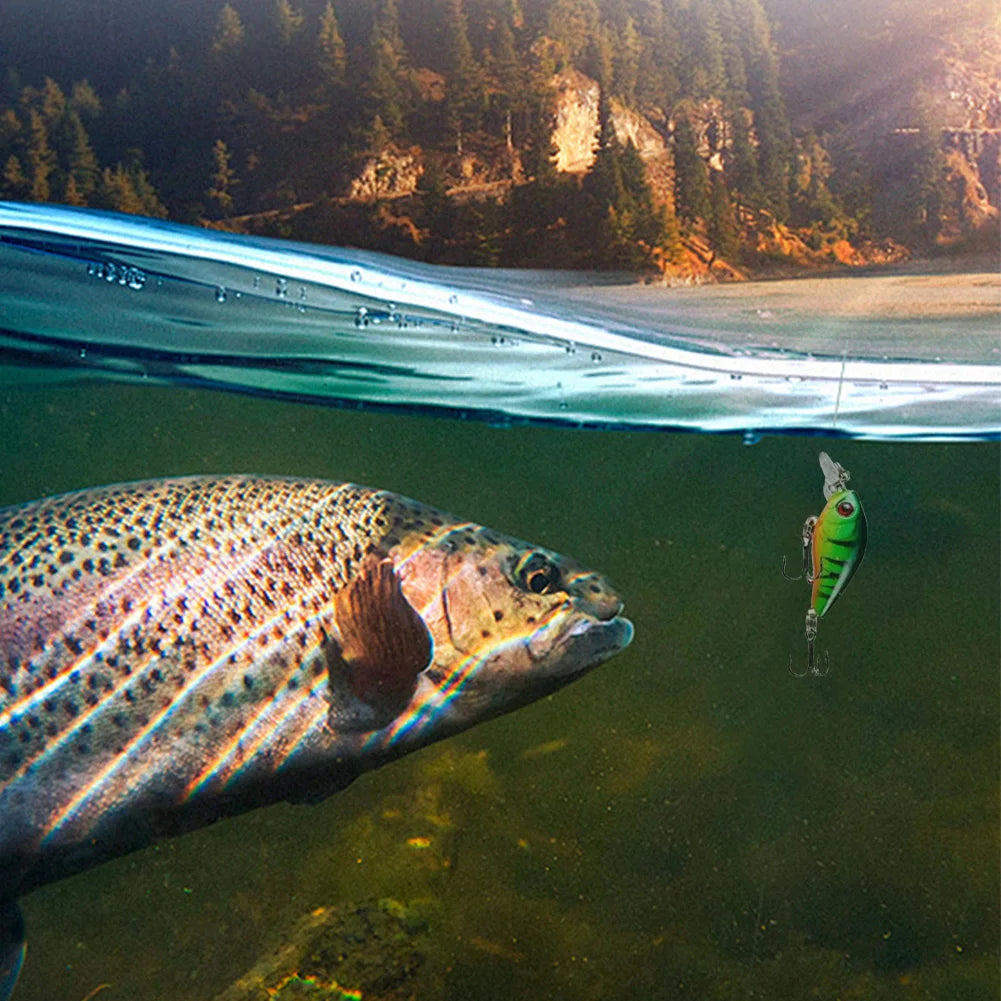 Fishing Advent Calendar – 24-Day Gift for Men & Teens